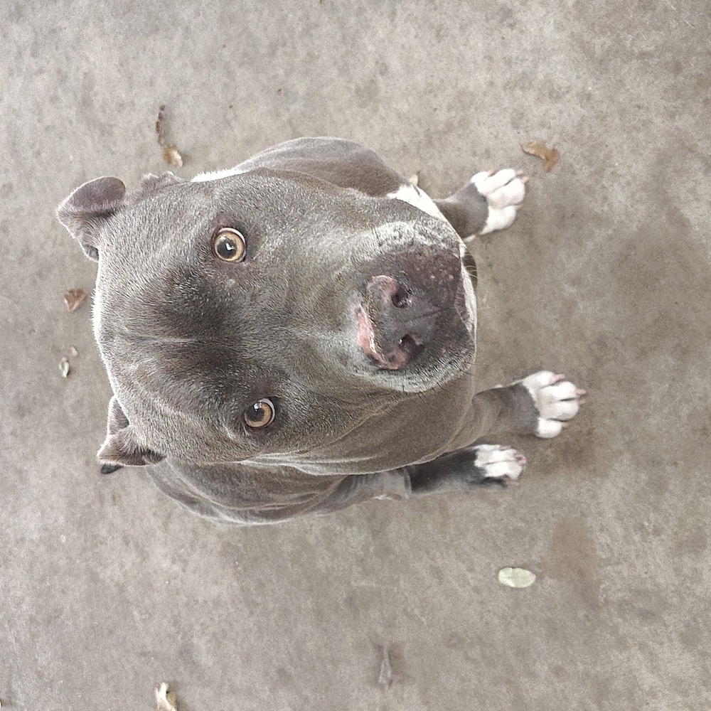 Meet your Posher, Zak